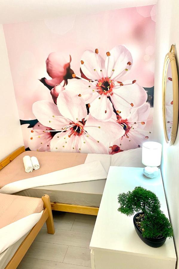 Appartement Beshtie