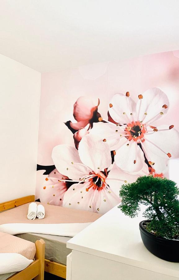 Appartement Beshtie